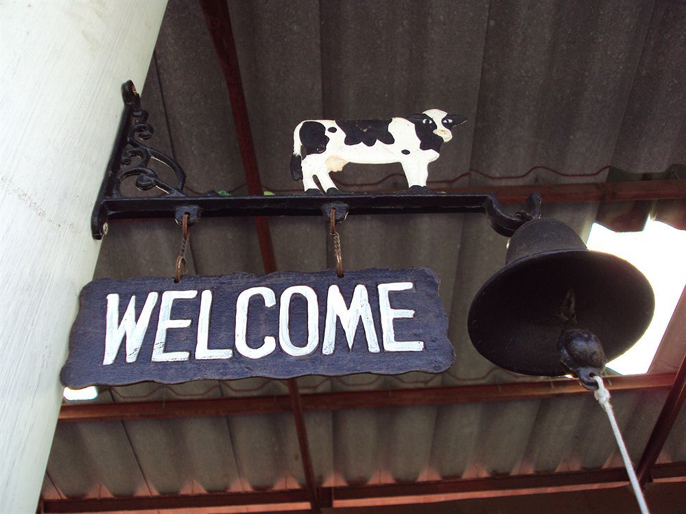 Steve Lady Hostel Bangkok Ngoại thất bức ảnh